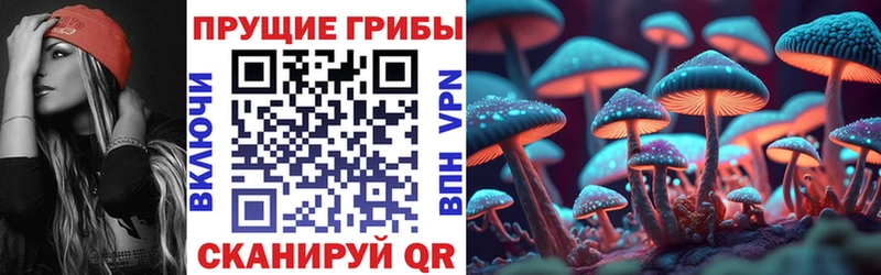 закладки  Саранск  Псилоцибиновые грибы прущие грибы 